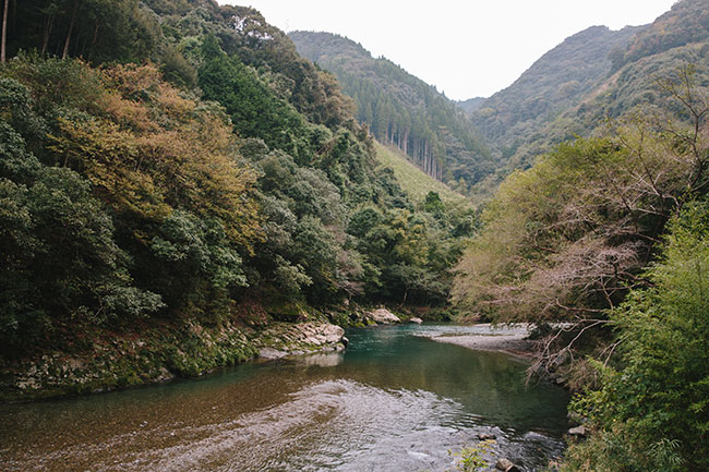 水辺の写真