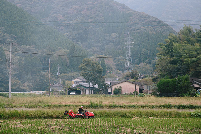 田んぼとトラクターの写真