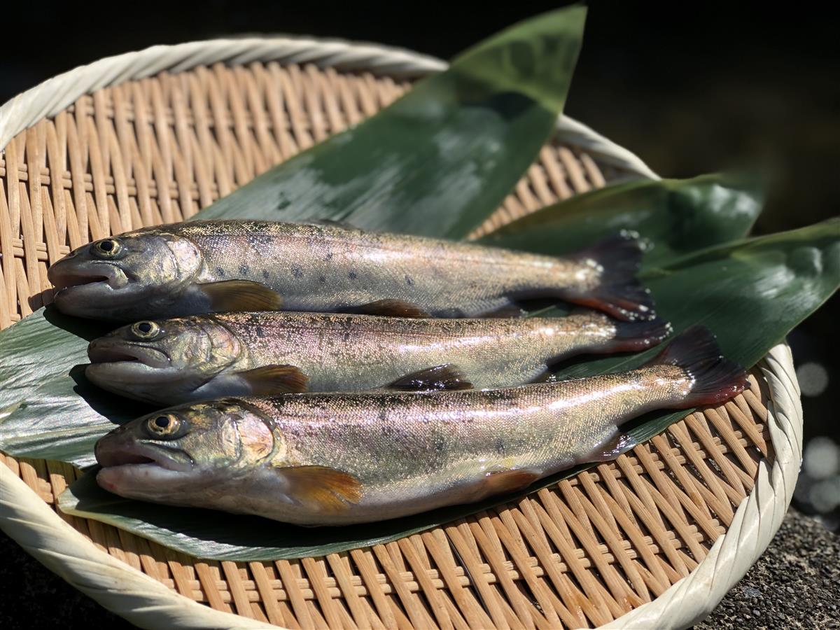 やまえ栗のジェラートの画像