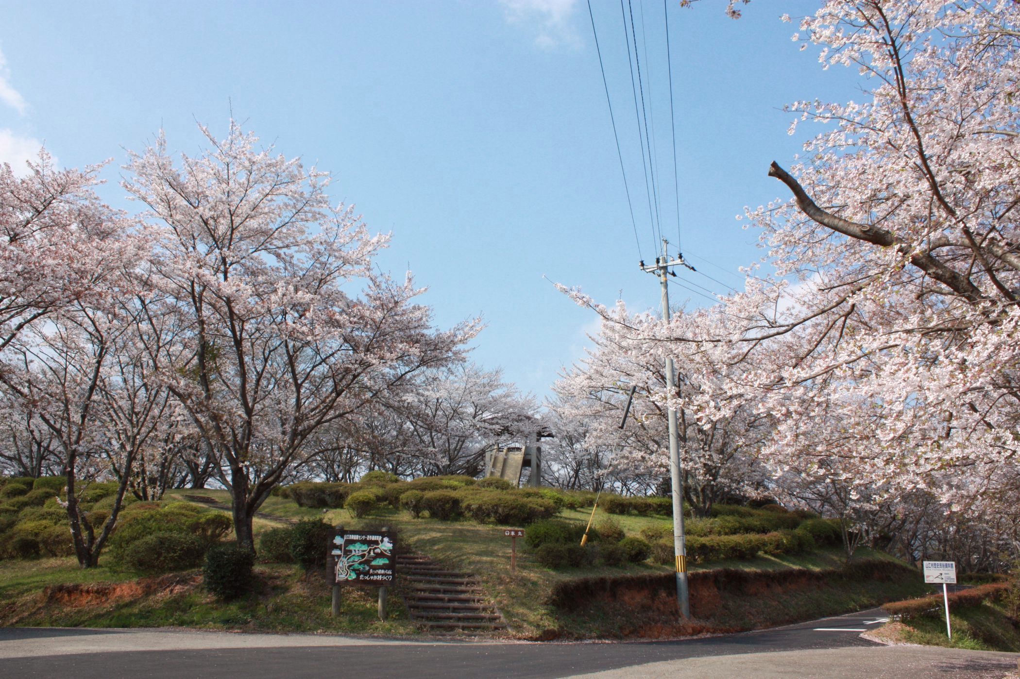 丸岡公園　本丸