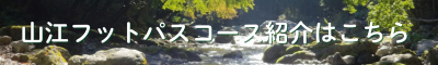 山江フットパスコース紹介はこちら