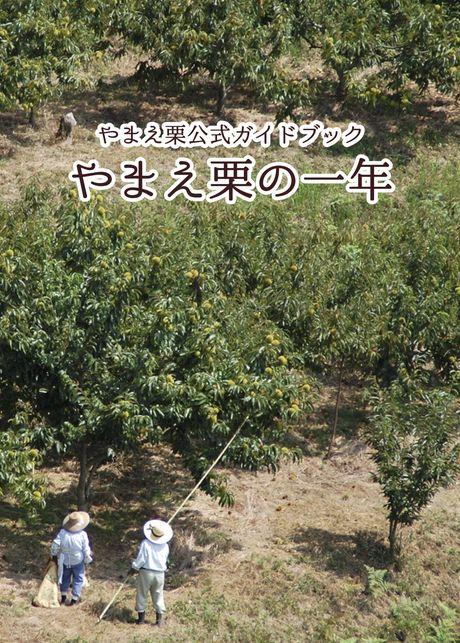 やまえ栗ガイドブックの表紙の写真
