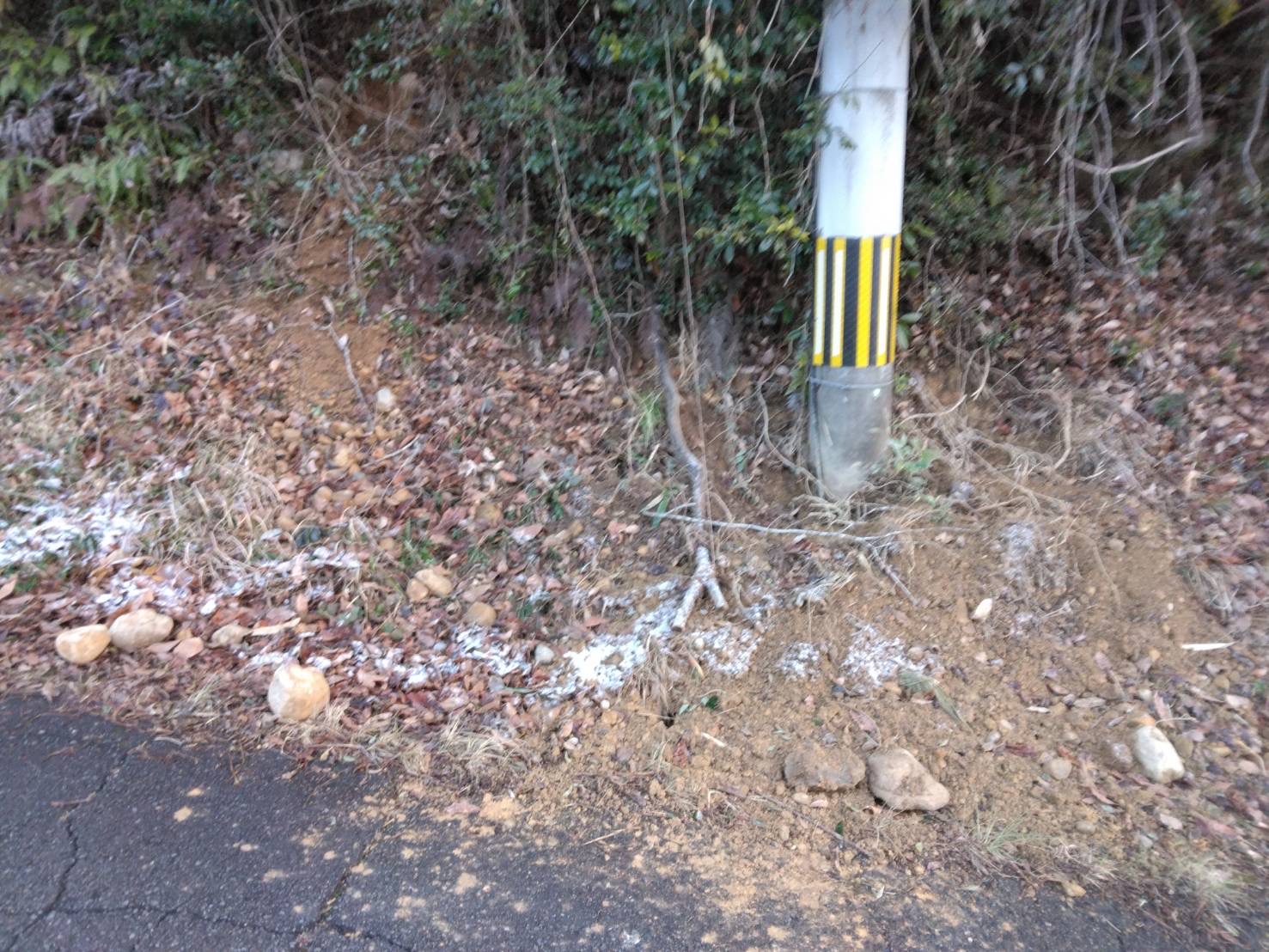 20250206_9区‗通学路有害鳥獣被害20250206_9区‗通学路有害鳥獣被害 (2)