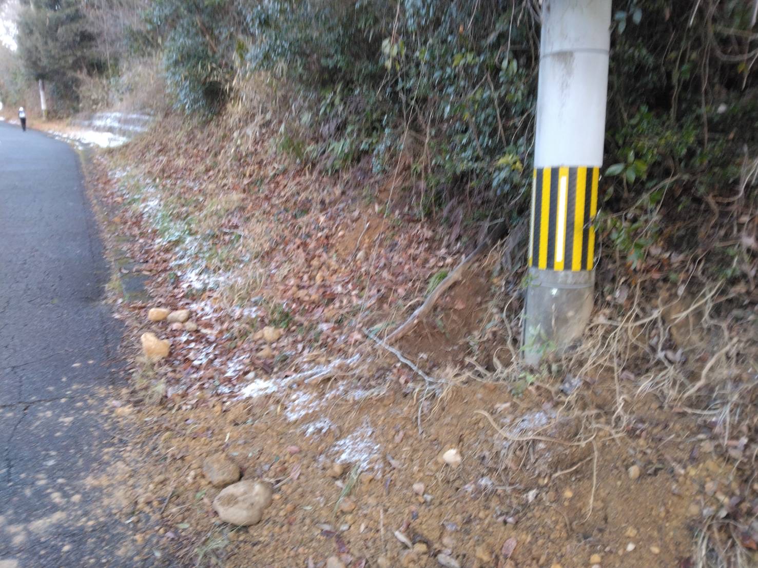 20250206_9区‗通学路有害鳥獣被害20250206_9区‗通学路有害鳥獣被害 (1)