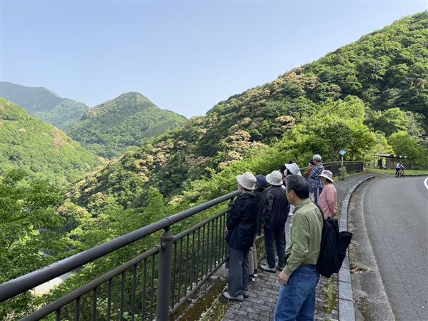 IMG_8258