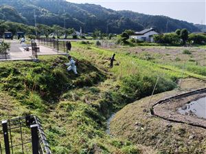 20250601_13区_一斉清掃 (5)