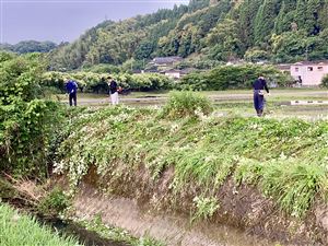 20250601_4区_一斉清掃 (6)