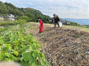 20250605_3区_一斉清掃活動 (7)