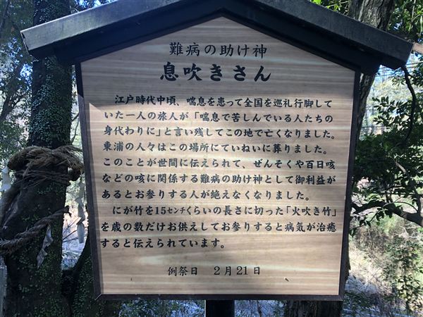 20260221_7区_息ふきさん20260221_7区_息ふきさん (4)