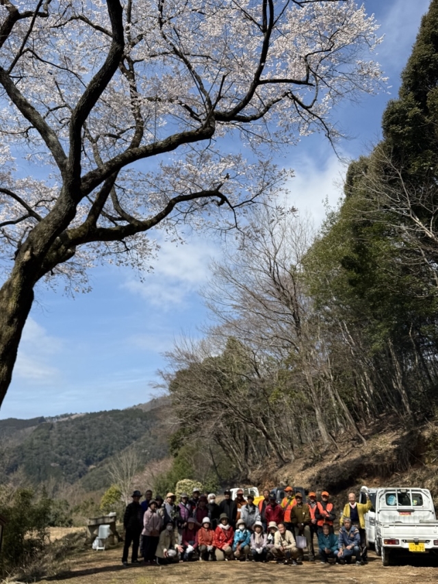 荻三平桜お花見ハイキングの画像
