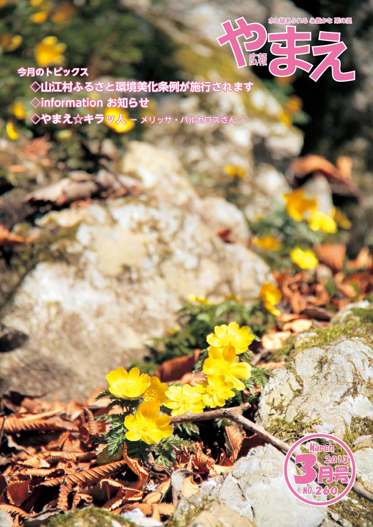 広報やまえ平成25年3月号（260号）の表紙
