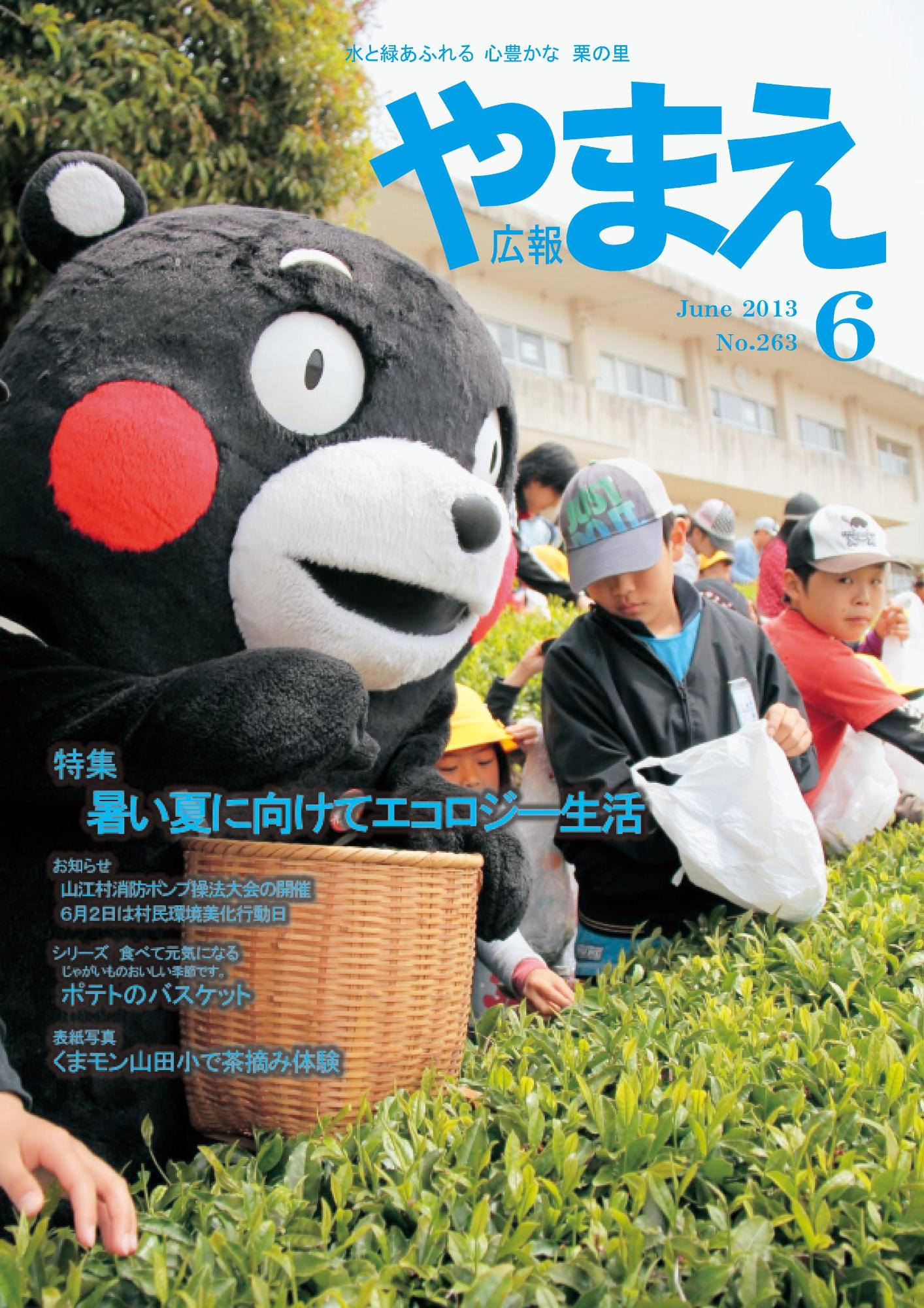 広報やまえ6月号の表紙