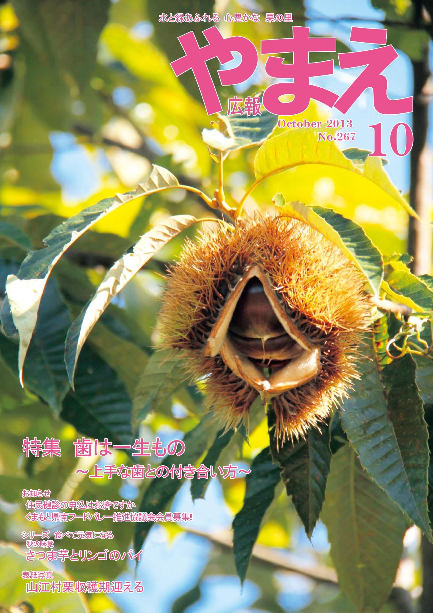 広報やまえ10月号の表紙