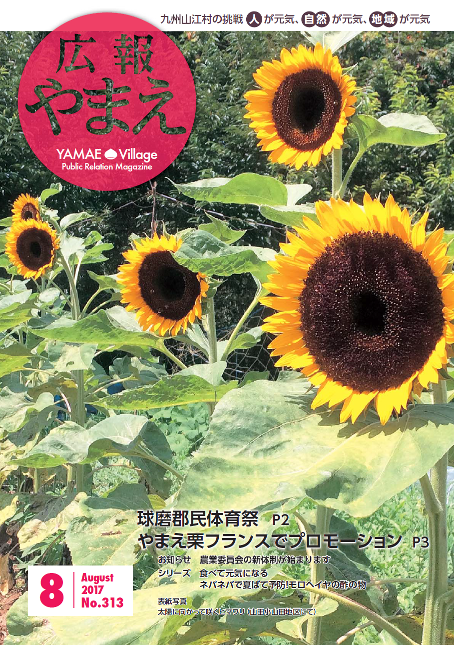 広報やまえ8月号の表紙
