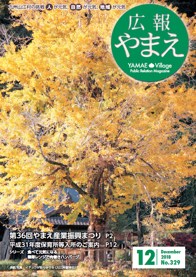 広報やまえ12月号の表紙
